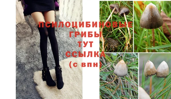 ПСИЛОЦИБИНОВЫЕ ГРИБЫ Балабаново