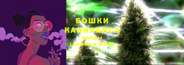 ПСИЛОЦИБИНОВЫЕ ГРИБЫ Балабаново