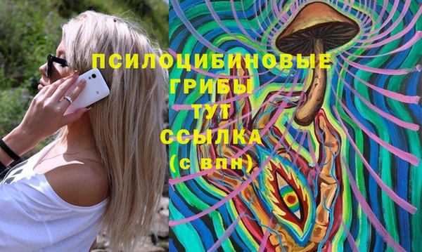 ПСИЛОЦИБИНОВЫЕ ГРИБЫ Балабаново