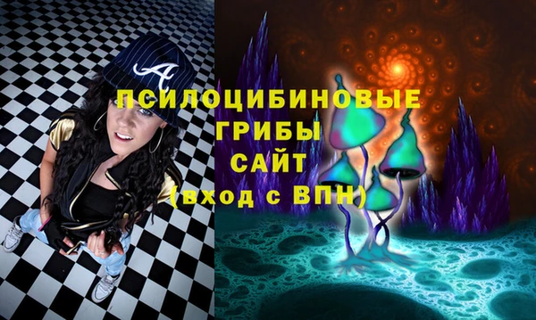 мяу мяу мука Баксан
