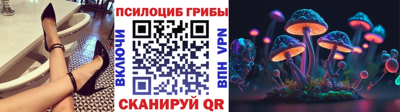 Галлюциногенные грибы Psilocybe  Заволжск 