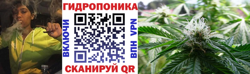 Бошки марихуана VHQ  Заволжск 